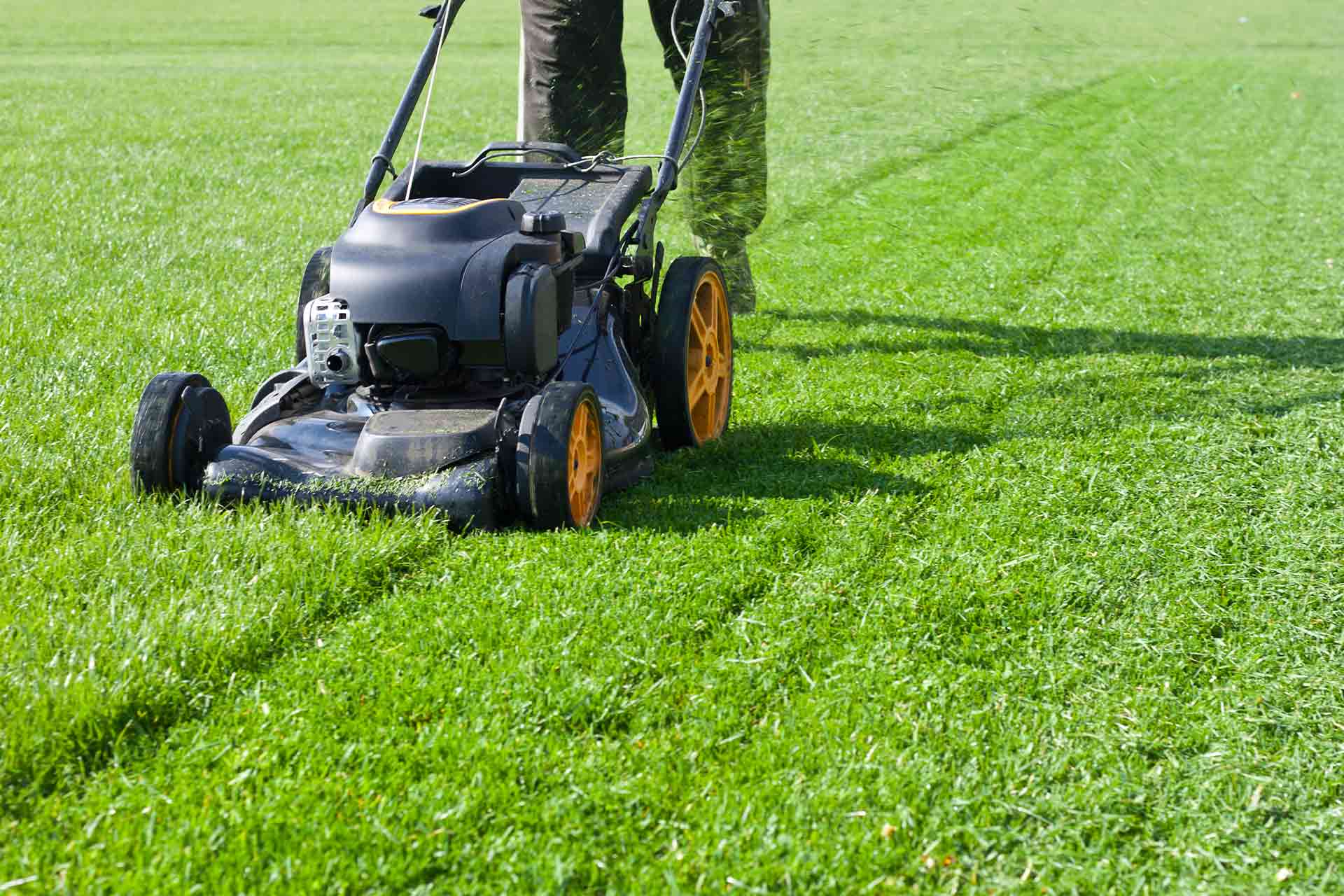 Lawn cutting service